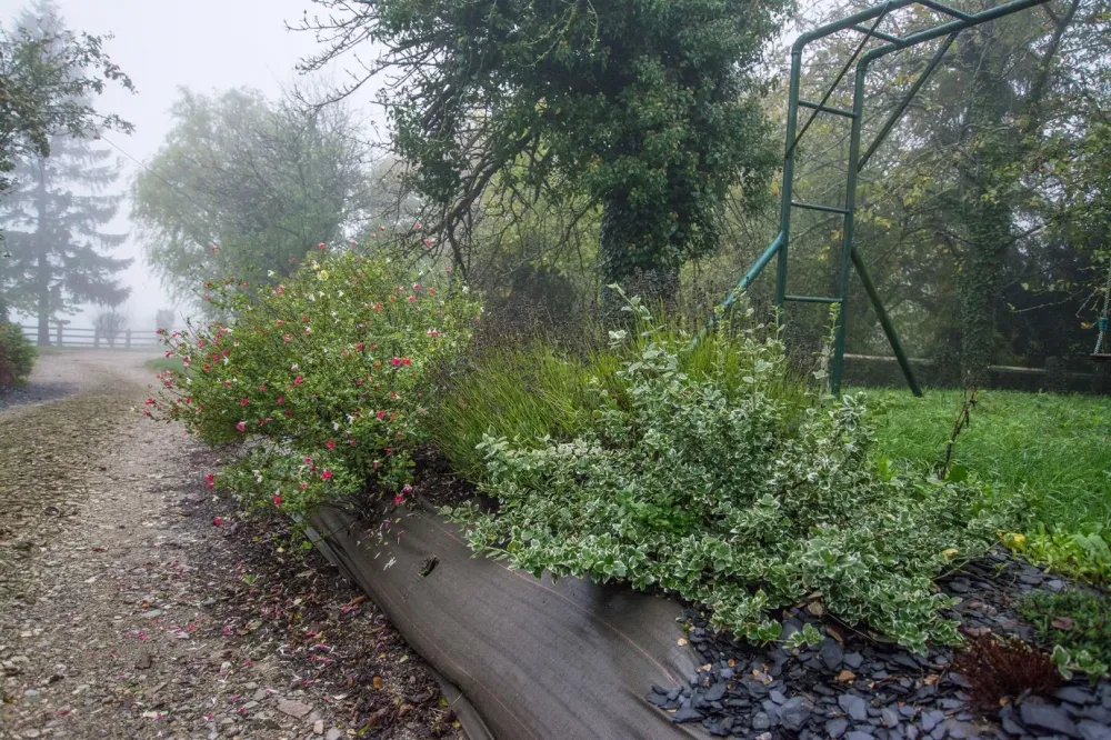 Plantation de haies à Ménil-Froger