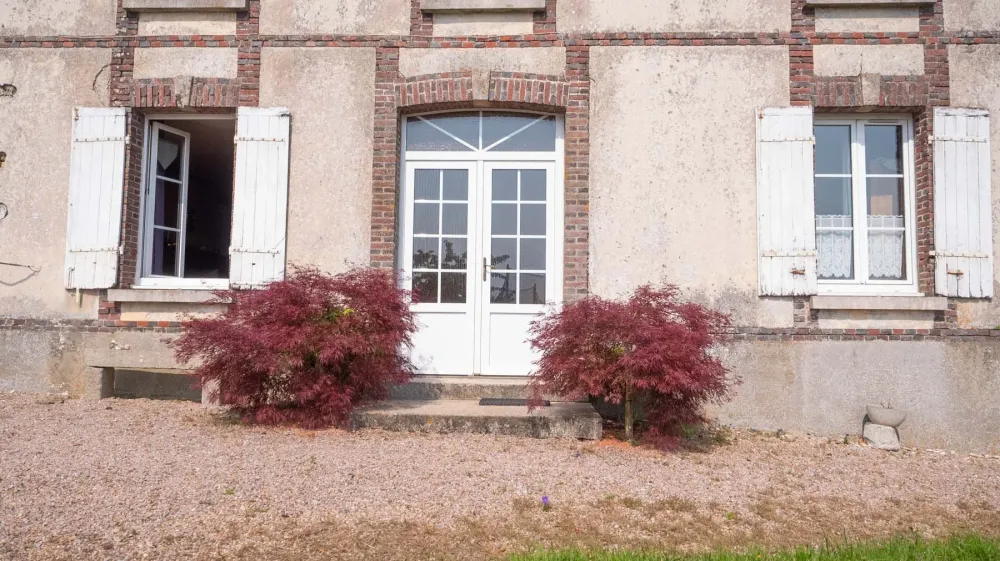arbres (25)