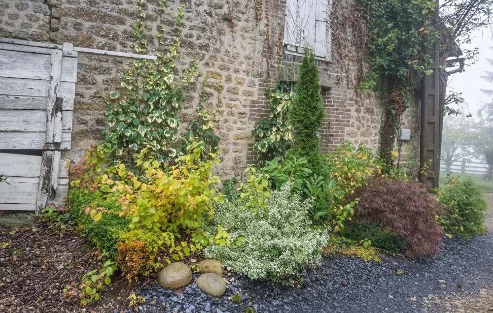 arbres (29)